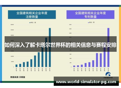 如何深入了解卡塔尔世界杯的相关信息与赛程安排