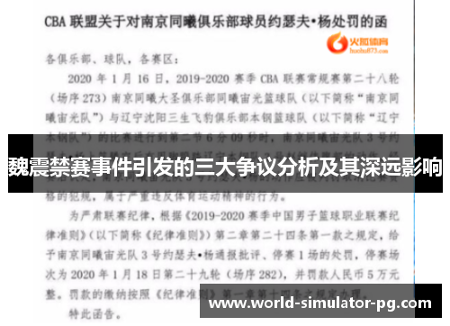 魏震禁赛事件引发的三大争议分析及其深远影响