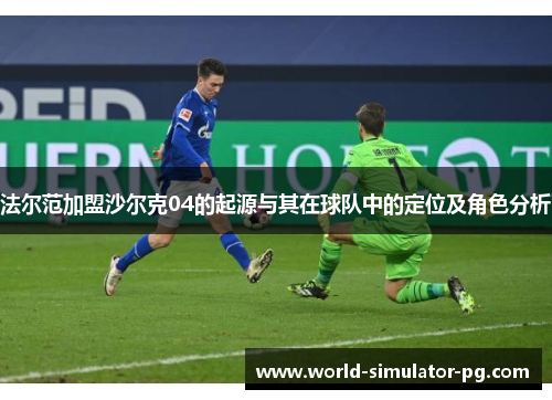 法尔范加盟沙尔克04的起源与其在球队中的定位及角色分析
