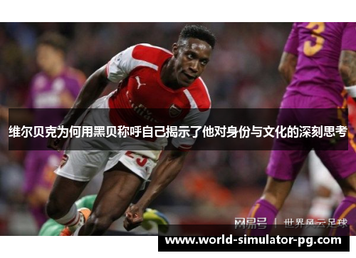 维尔贝克为何用黑贝称呼自己揭示了他对身份与文化的深刻思考