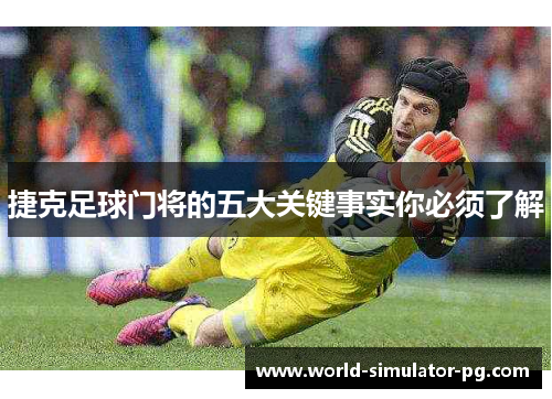 捷克足球门将的五大关键事实你必须了解